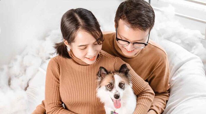 Färre barn som födsger upphov till nyafamiljekonstellationer