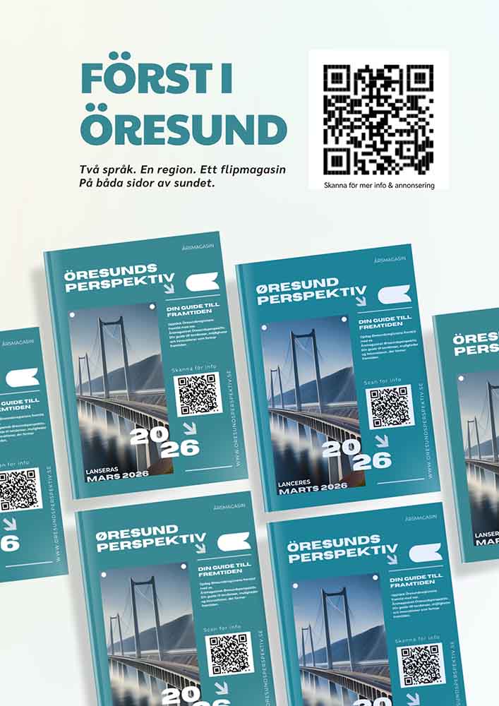 Öresundsperspektiv client-image