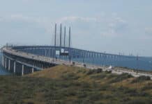 Danskar handlar mindre i Sverige – men vissa varor lockar fortfarande